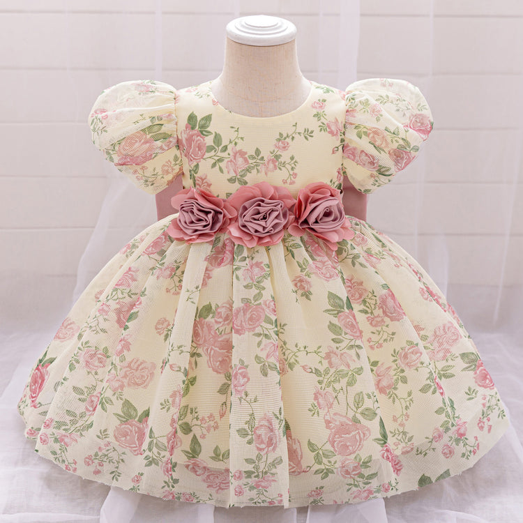Cute Baby Girl Birthday Puff Sleeve Princess Dress Girl Flower Print Dress