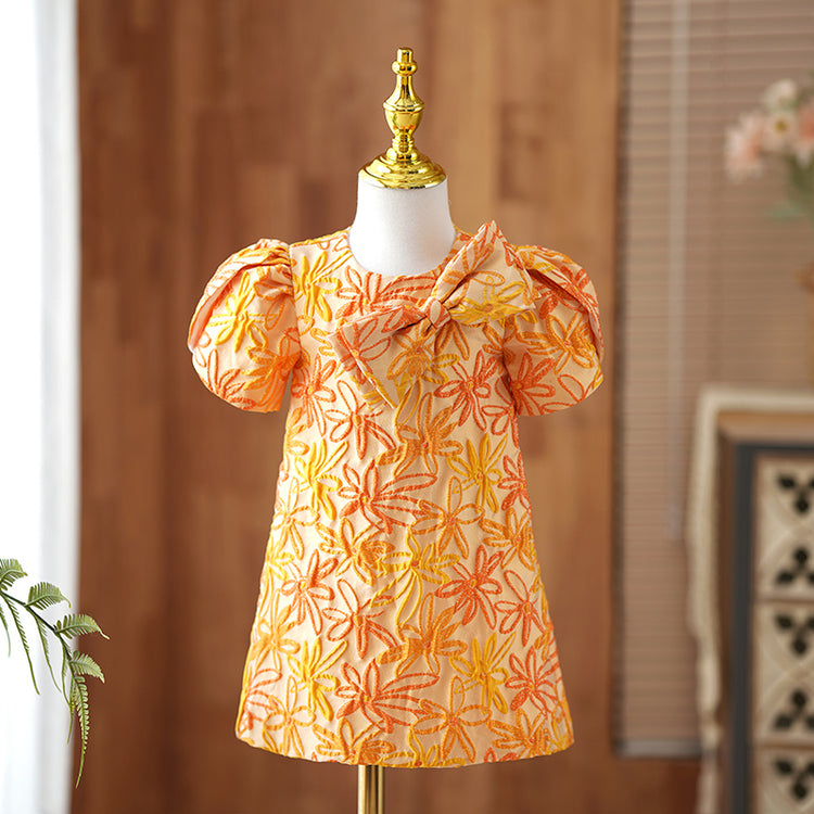Lovely Girl Embroidery Birthday Princess Dress