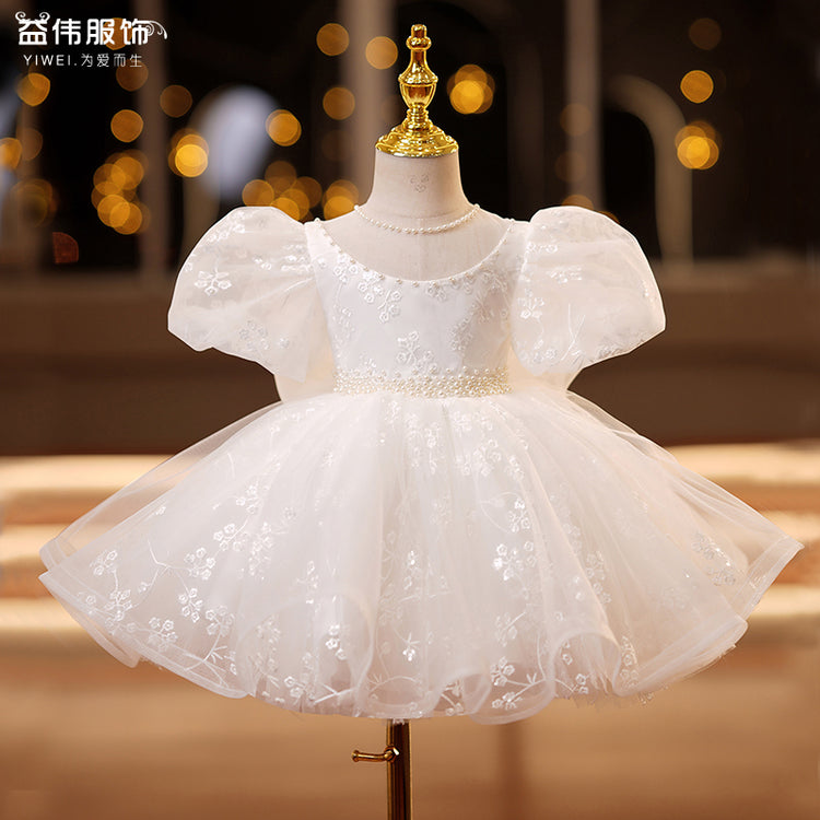 Lace Mesh Puff Sleeve Princess Dress