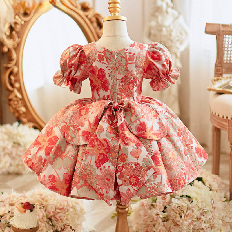 Baby Girl Sweet Embroidered Princess Dress