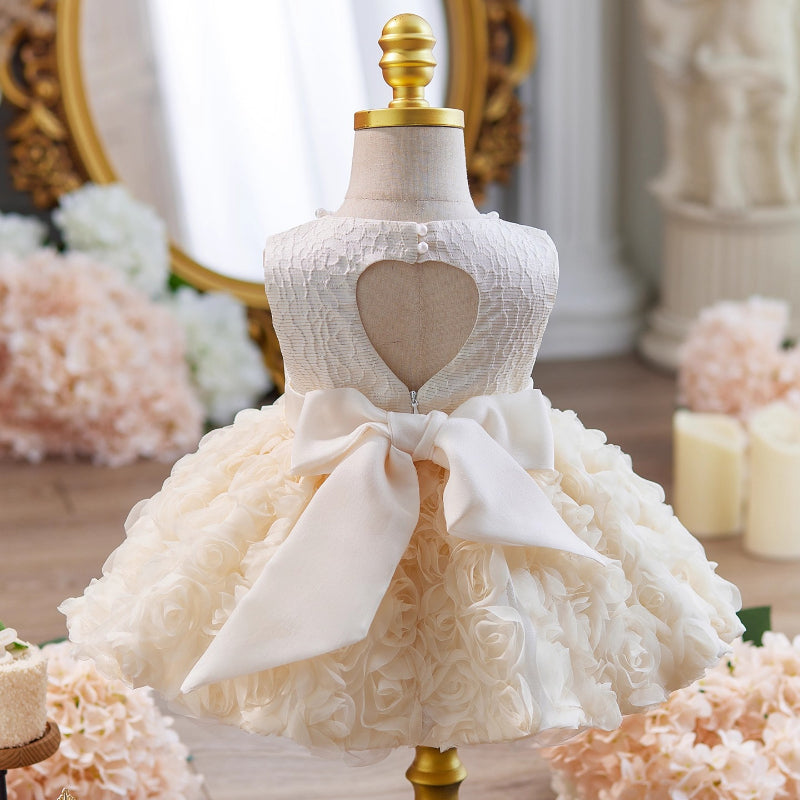 Baby Girl Birthday Dress Flower Girl Wedding Dress Girl Communion Princess Dress
