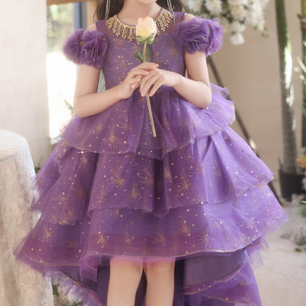 Children's Birthday Princess Dress Girl Purple Dress Flower Girl Wedding Dress