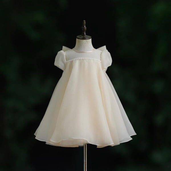 Baby Girl Birthday Princess Dress Flower Girl Wedding Dress