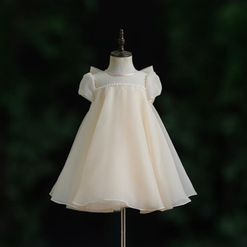 Baby Girl Birthday Princess Dress Flower Girl Wedding Dress
