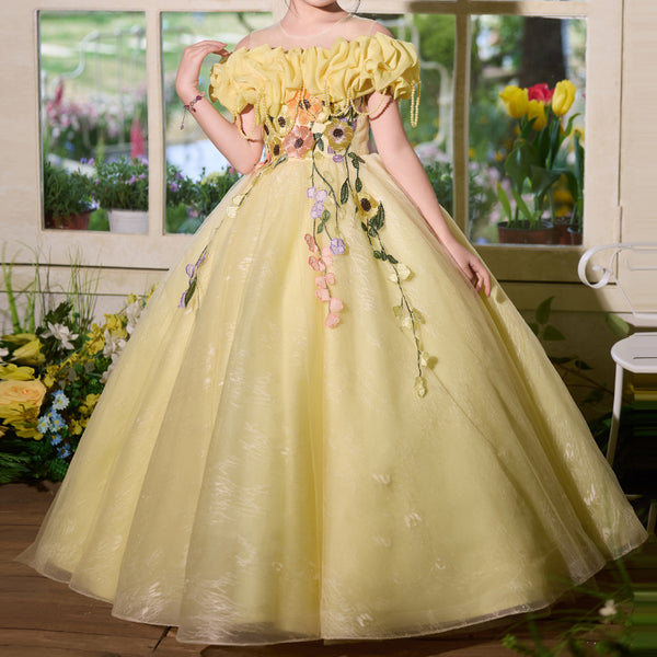 Girls Ball Dress Children's Beauty Pageant Birthday Princess Dress