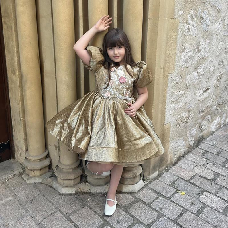 Cute Baby Girl Sequins Embroidery Dress Toddler Beauty Pageant Birthday Princess Dress
