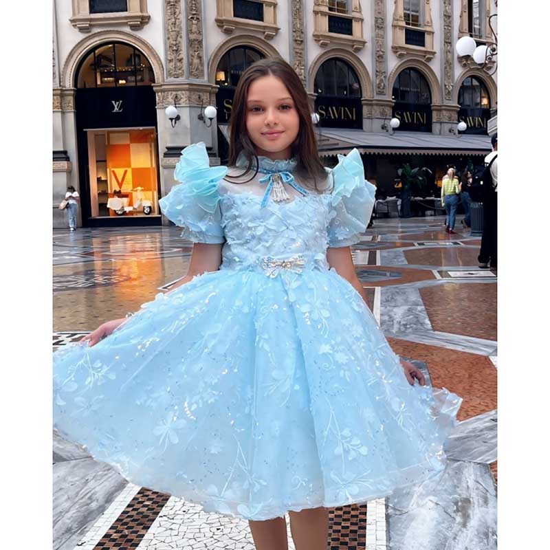Baby Girl Dress Toddler Birthday Pageant Wedding Sequin Bow Fluffybow Puff Sleeves Dress