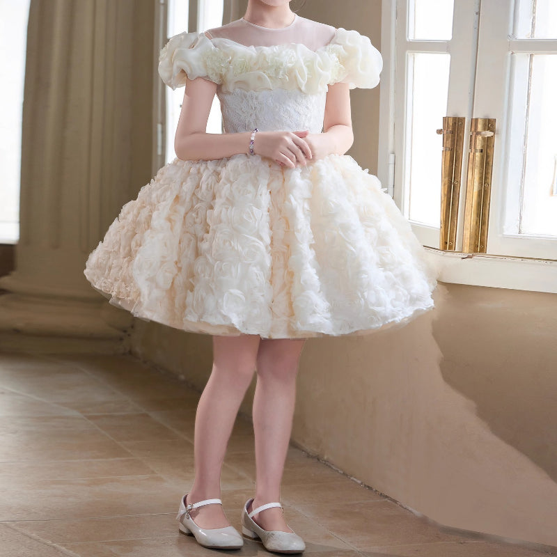 Girls Birthday Dress Children's Communion Dress Girl Party Princess Dress