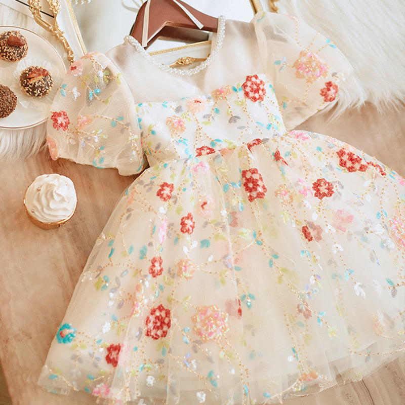 Lovely Baby Girl Embroidery Pageant Dress Toddler First Birthday Dress
