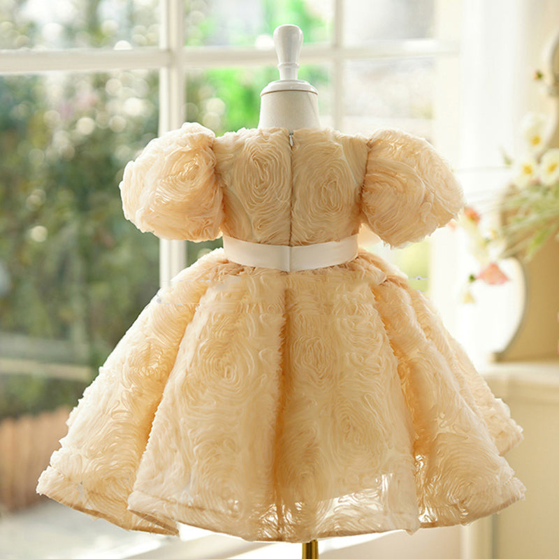 princess dress for 1st birthday Floral Girl Princess Dress Knee Length for 1st Birthday J408