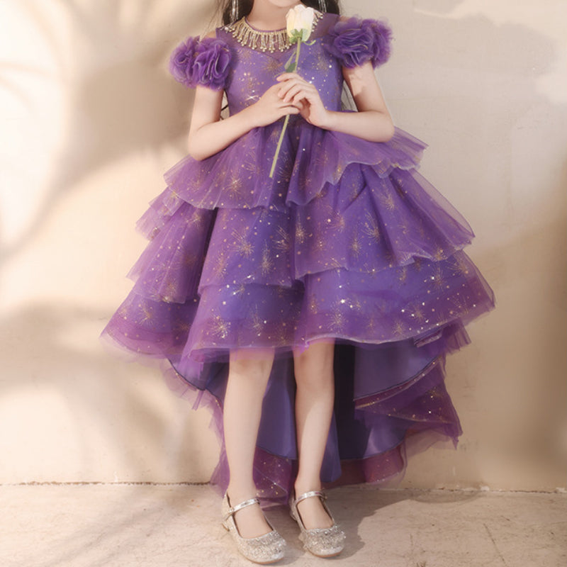 Children's Birthday Princess Dress Girl Purple Dress Flower Girl Wedding Dress