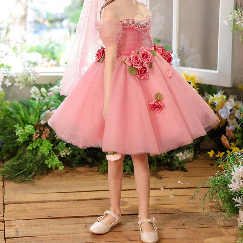 Pink Girls Birthday Dress Flower Girl Princess Dress