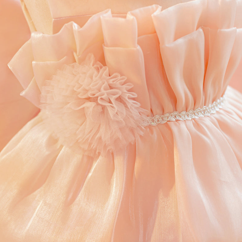 Girls Birthday Princess Dress Girls Sleeveless Puffy Dress Girls Party Dress
