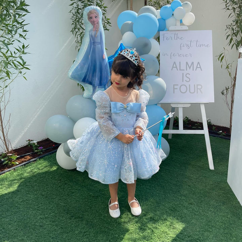 Flower Girl Dress Toddler Summer Long Sleeve Sequin Snowflake Fluffy Birthday Party Dress