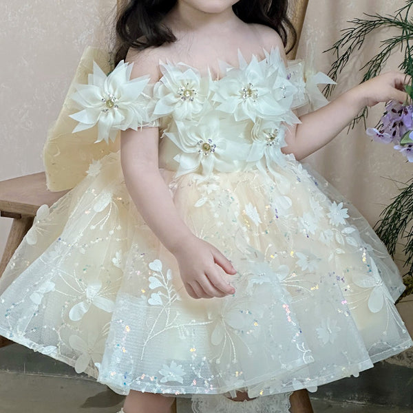 Flower Girl Wedding Dress Girl Birthday Dress Girl Communion Princess Dress