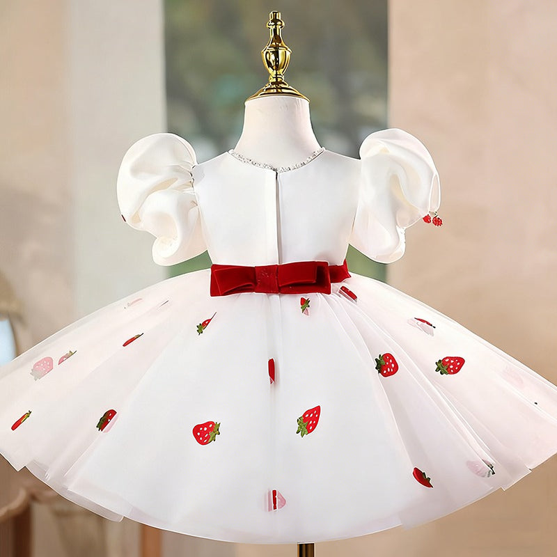 Girls' Birthday Princess Dress Flower Girl Wedding Dress Girls' Communion Dress