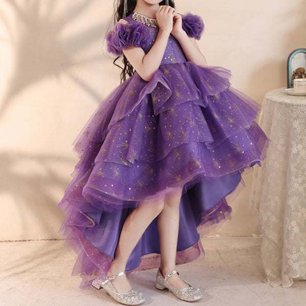 Children's Birthday Princess Dress Girl Purple Dress Flower Girl Wedding Dress