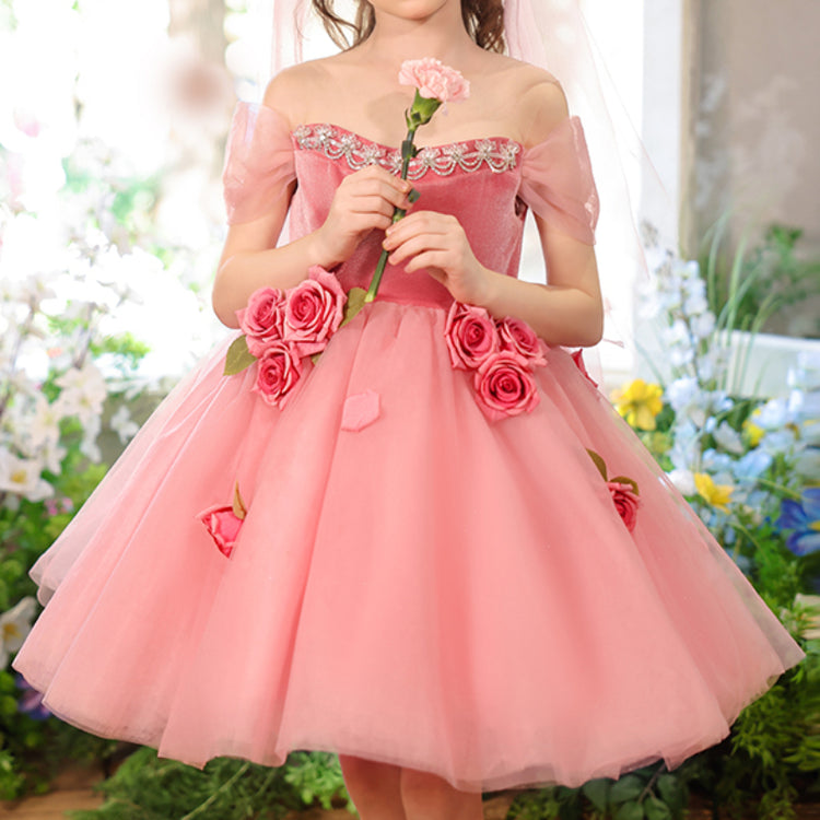 Pink Girls Birthday Dress Flower Girl Princess Dress
