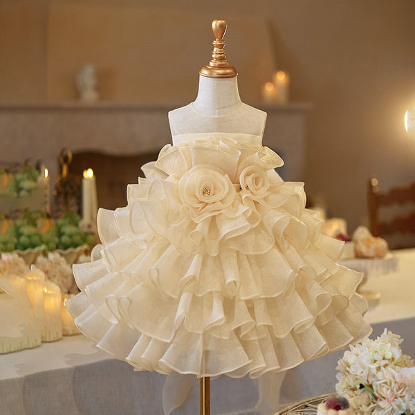 Girls Birthday Princess Dress Flower Girl Wedding Puffy Dress