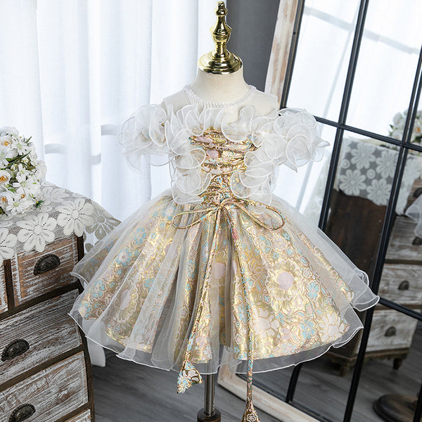 Elegant Baby Champagne Mesh Floral Princess Dress Toddler Party Princess Dress