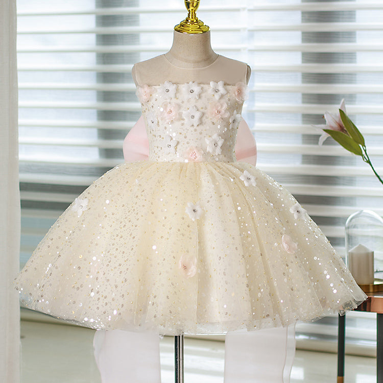 Girls Communion Dress Flower Girl Pink Princess Dress