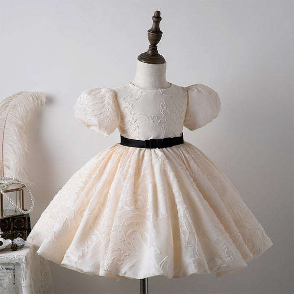 Girls Party Princess Dress Children's Puffy Birthday Dress