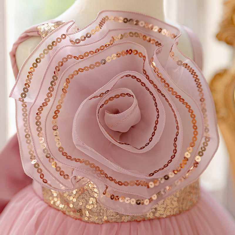 Children's Birthday Dress Girl's Puffy Dress Flower Girl Wedding Princess Dress