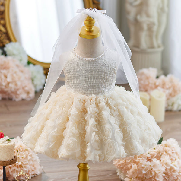 Baby Girl Birthday Dress Flower Girl Wedding Dress Girl Communion Princess Dress