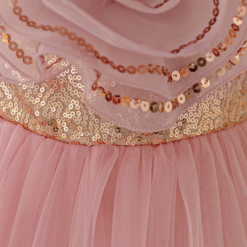 Children's Birthday Dress Girl's Puffy Dress Flower Girl Wedding Princess Dress