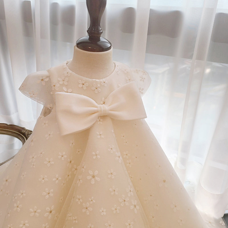 Baby Girls Birthday Dresses First Communion Dress  Toddler Beauty Pageant Dress main image 1
