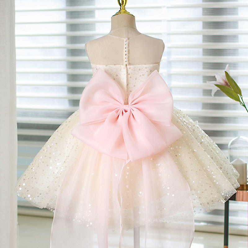 Girls Communion Dress Flower Girl Pink Princess Dress