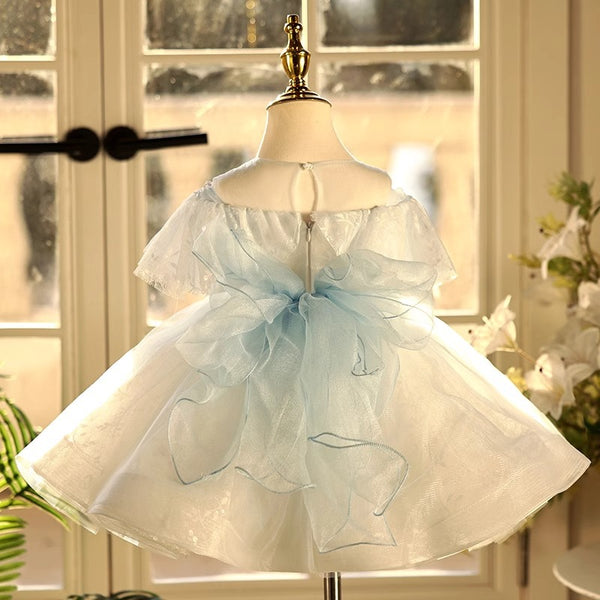 Children's Birthday Dresses Girls' Prom Princess Dress Flower Girl Dress
