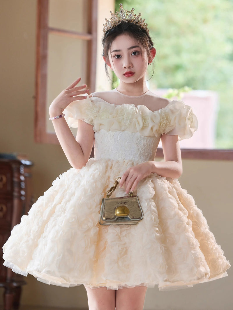 Girls Birthday Dress Children's Communion Dress Girl Party Princess Dress