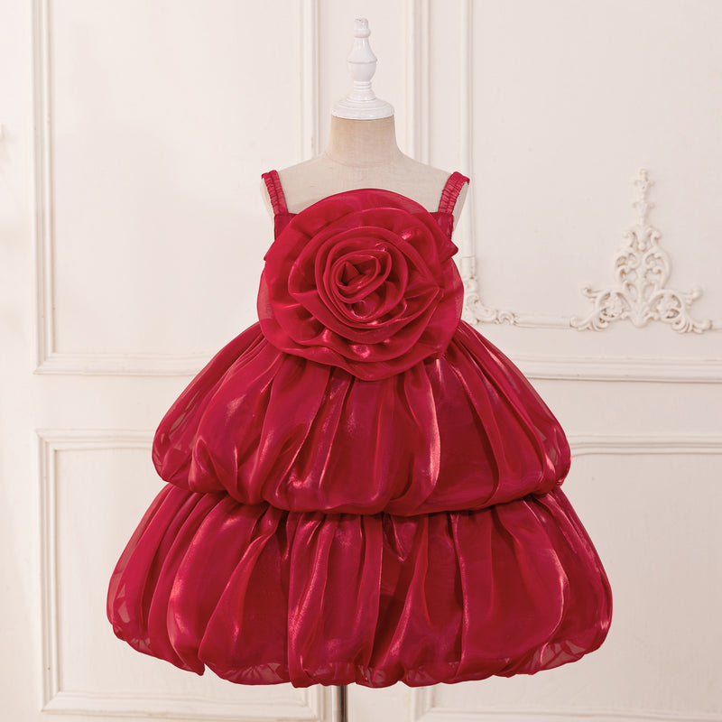 Flower Girl Wedding Princess Dress Girl Birthday Puffy Dress