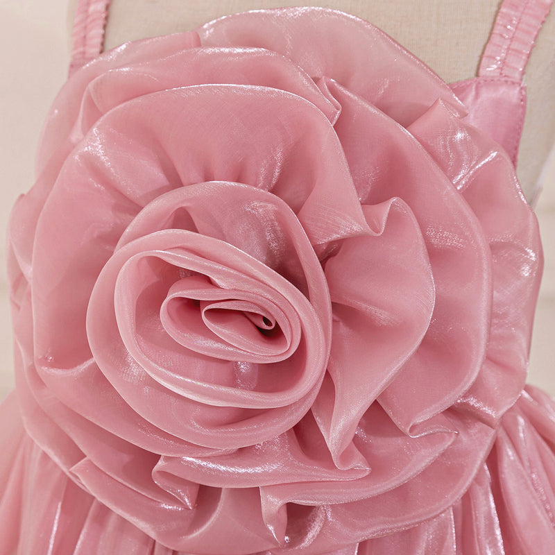 Flower Girl Wedding Princess Dress Girl Birthday Puffy Dress
