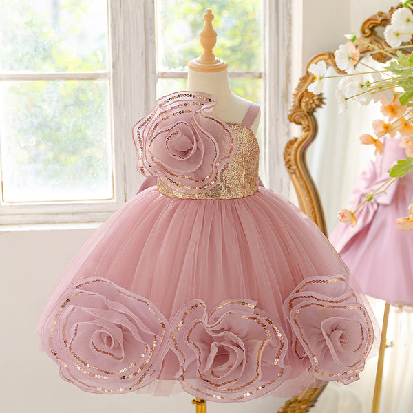 Children's Birthday Dress Girl's Puffy Dress Flower Girl Wedding Princess Dress