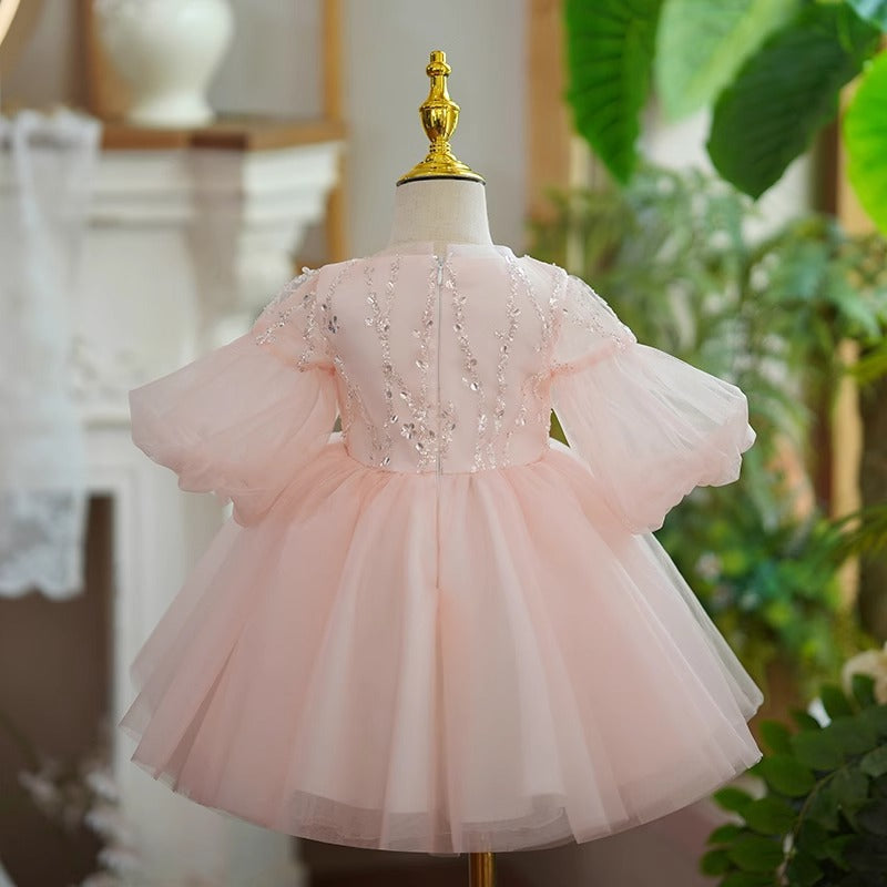 Girls Birthday Princess Dress Flower Girl Wedding Dress Children's Party Dress