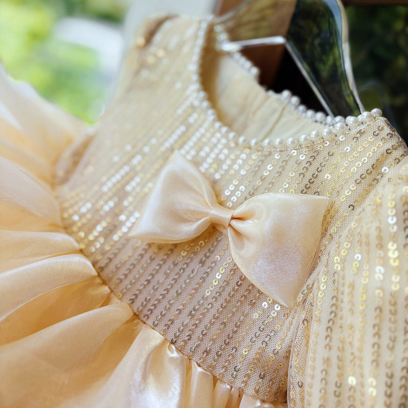 Baby Birthday Dress Children's Christmas Princess Dress