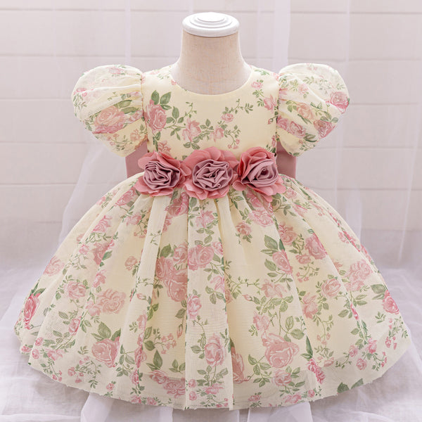 Cute Baby Girl Birthday Puff Sleeve Princess Dress Girl Flower Print Dress