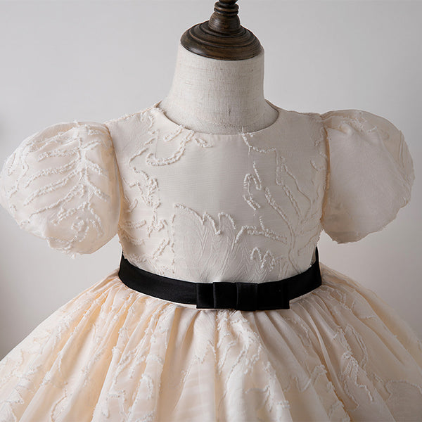 Girls Party Princess Dress Children's Puffy Birthday Dress