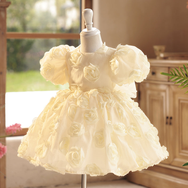 Elegant Baby Girl Dress Toddler Party Communion Baptism Wedding Princess Dress, Champagne / 0-1 Year (80cm) Elegant Baby Girl Dress Toddler Party Communion Baptism Wedding Princess Dress, Champagne / 0-1 Year (80cm)