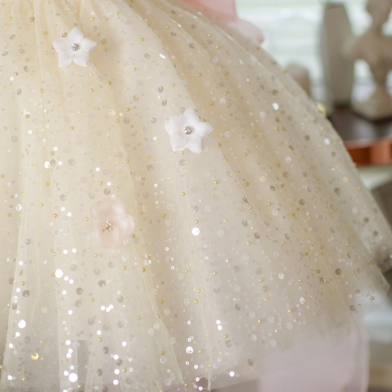 Girls Communion Dress Flower Girl Pink Princess Dress