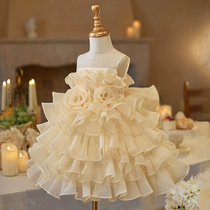 Baby Girl Birthday Princess Dress Children's Ball Dress Flower Girl Wedding Puff Dress