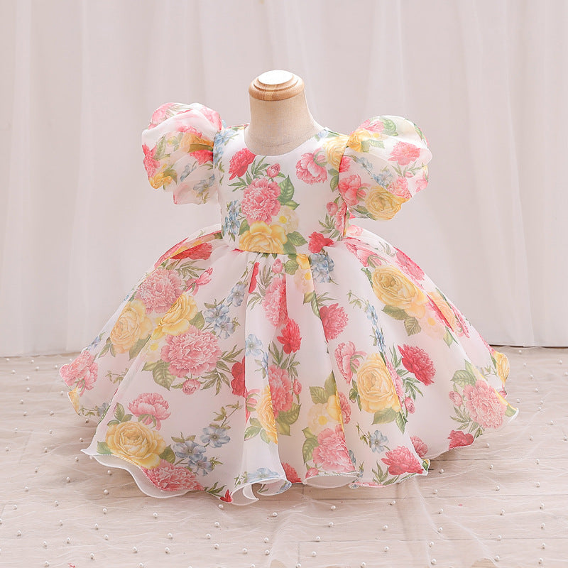 buy princess dresses for toddlers online Princess Dress, Princess Birthday Outfit, Toddler Princess Dress, Baby Disney Princess Dress, Girls Party Tutu, Girls Costume Gown