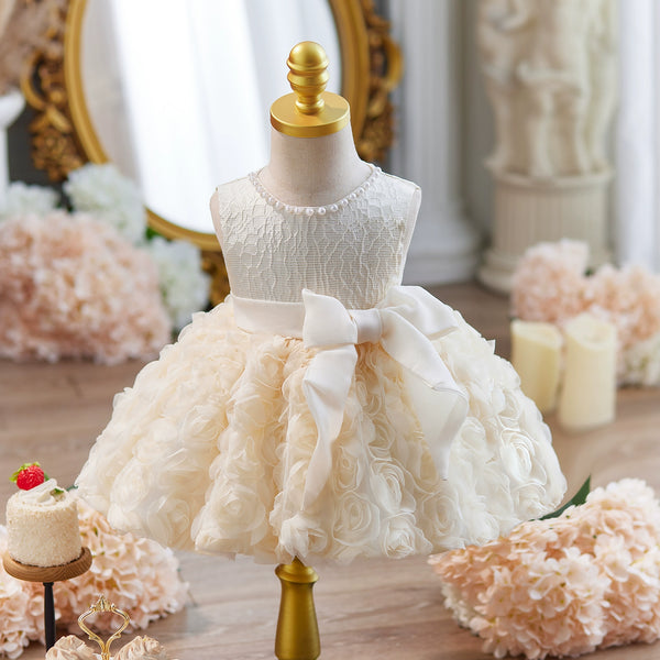 Baby Girl Birthday Dress Flower Girl Wedding Dress Girl Communion Princess Dress