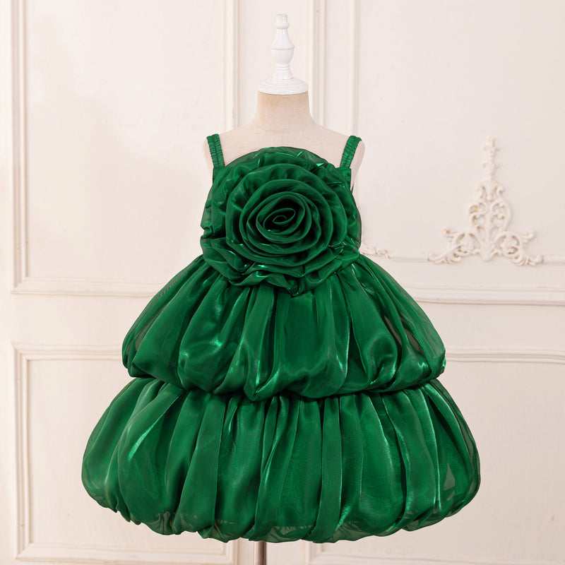 Flower Girl Wedding Princess Dress Girl Birthday Puffy Dress