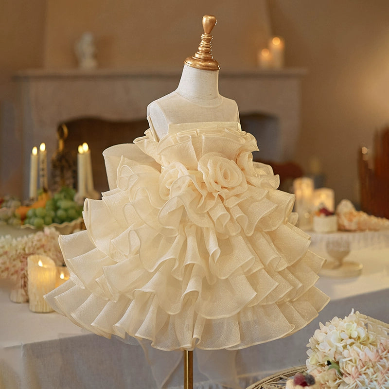 Baby Girl Birthday Princess Dress Children's Ball Dress Flower Girl Wedding Puff Dress