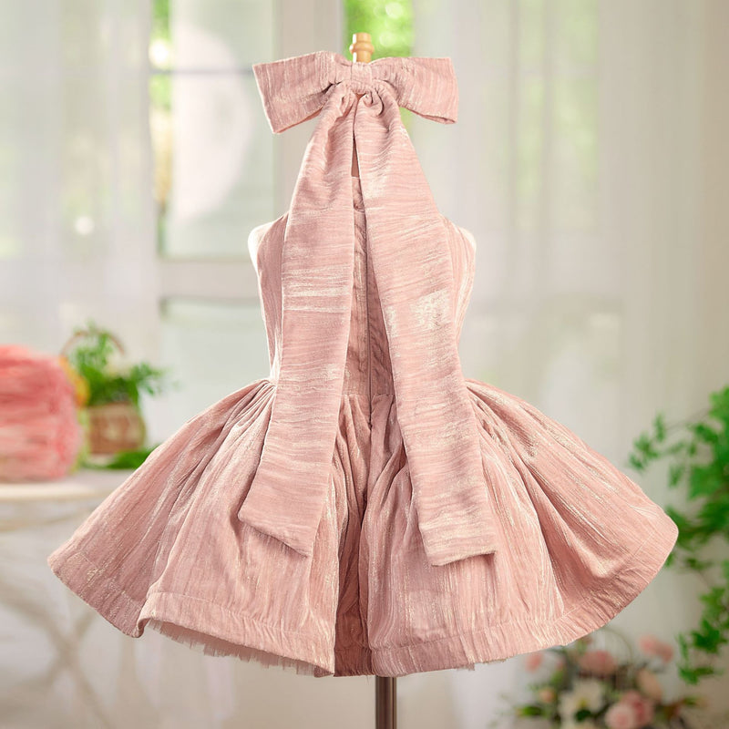Girls Elegant Birthday Dress Girls Party Velvet Princess Dress