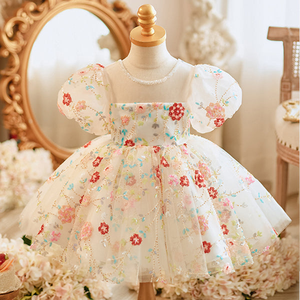 Lovely Baby Girl Embroidery Pageant Dress Toddler First Birthday Dress