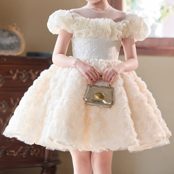 Girls Birthday Dress Children's Communion Dress Girl Party Princess Dress
